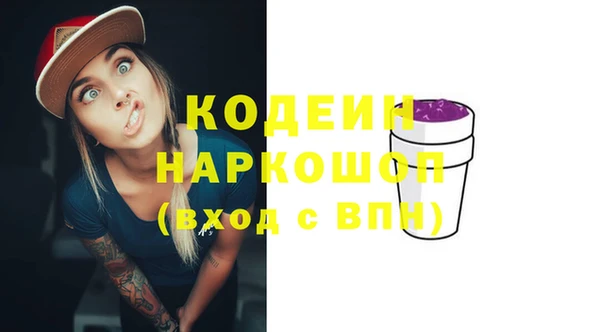 стаф Арсеньев