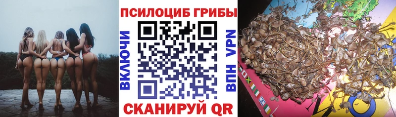 ссылка на мегу вход  Макарьев  Псилоцибиновые грибы GOLDEN TEACHER 